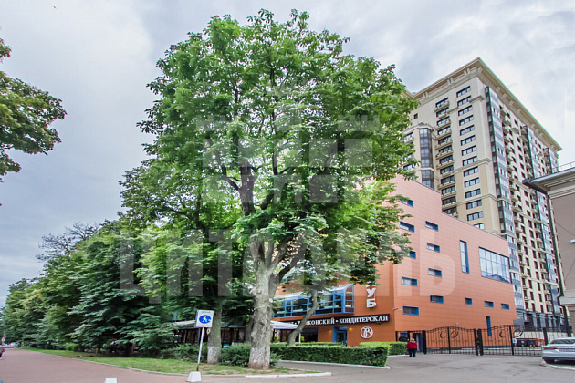 Воронеж г., Центральный район, Карла Маркса ул., 67/2 - фото (34)