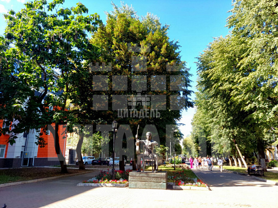 Воронеж г., Центральный район, Карла Маркса ул., 67/2 - фото (35)