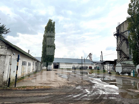 Перелешинский р.п., Комсомольская ул., 19 - фото (14)