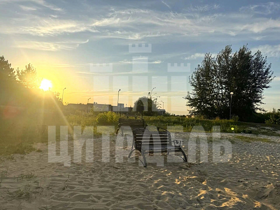 Воронеж г., Железнодорожный район, Сосновая ул., 1034 - фото (13)