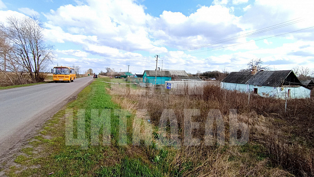 совхоза "Нижнедевицкий" п., Дорожная ул., 9 - фото (5)
