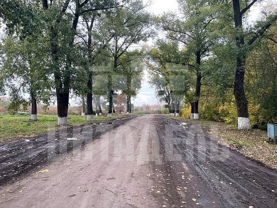 Перелешинский р.п., Комсомольская ул., 19 - фото (36)