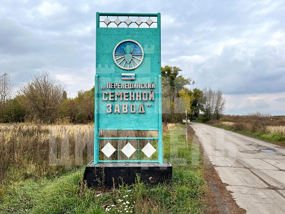 Перелешинский р.п., Комсомольская ул., 19 - фото (38)