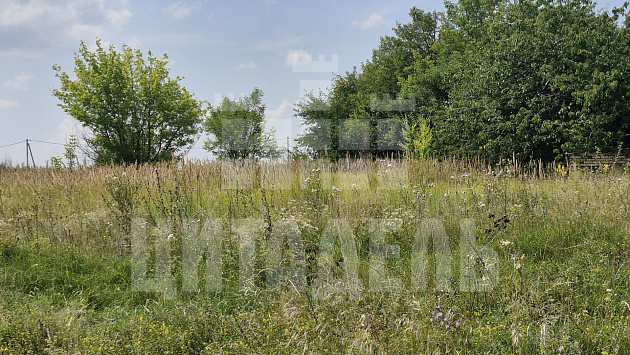 Латная р.п., Л. Толстого ул., 4 - фото (3)