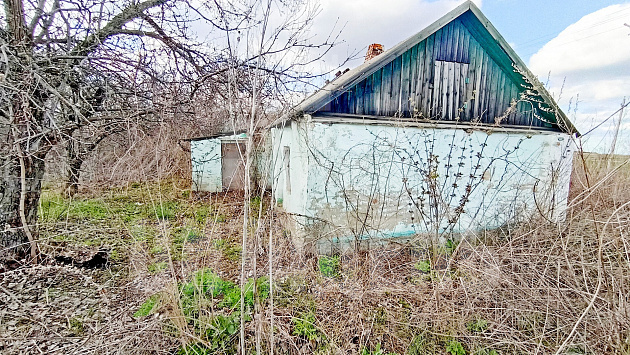 совхоза "Нижнедевицкий" п., Дорожная ул., 9 - фото (3)
